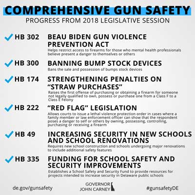 Comprehensive Gun Safety graphic with stats