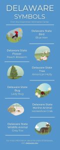 Infographic of Delaware Symbols