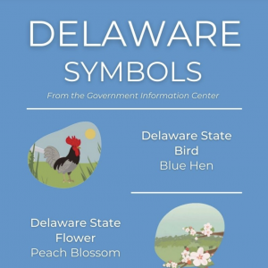 Delaware Symbols Infographic